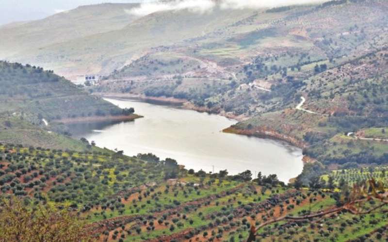 5 ملايين م3 خزنتها سدود المملكة