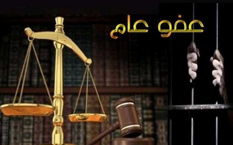 التلهوني: العفو العام يستثني 187 فعلا