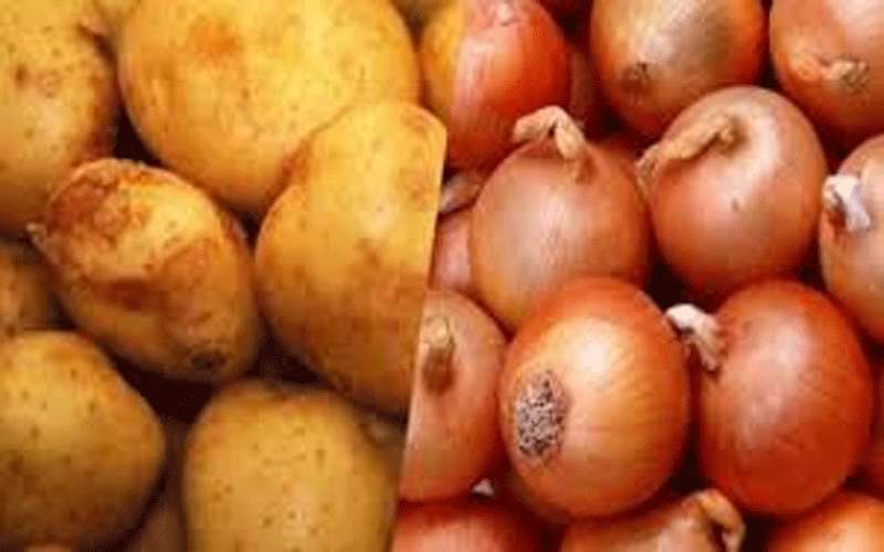 وزير الزراعة يقرر تحديد سقوف سعرية