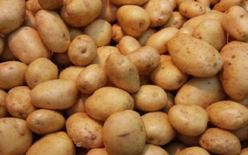 إحباط تهريب 25 طن بطاطا الى