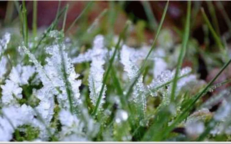 الأرصاد تحذر من الصقيع في ساعات