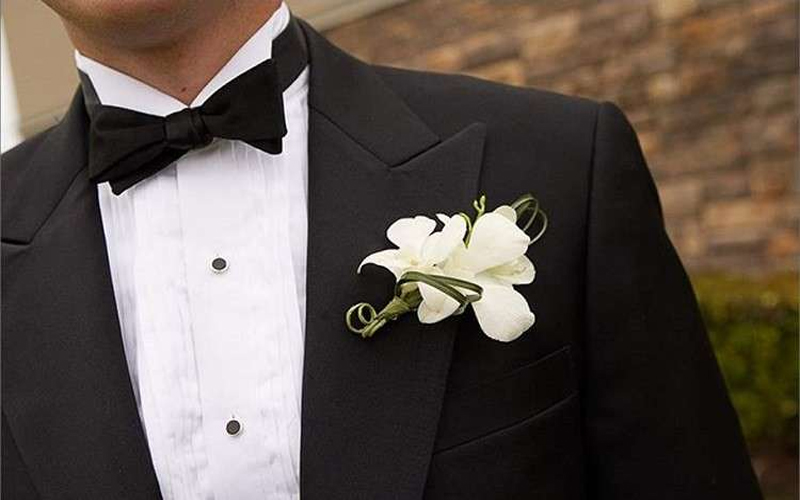 زوج للبيع مقابل مبلغ زهيد جدا