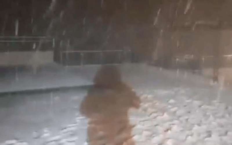 تعليق الدراسة في عجلون