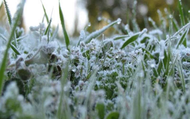 أجواء باردة وتحذيرات من الصقيع ليلا