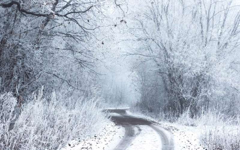 الأرصاد الجوية تحذر من تشكل الصقيع