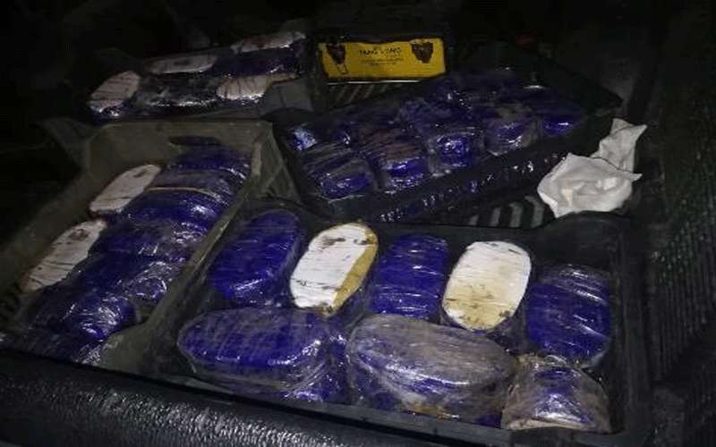 إحباط تهريب 523 كف حشيش عبر