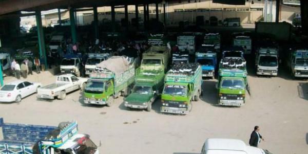 400 طن واردات سوق العارضة للخضار