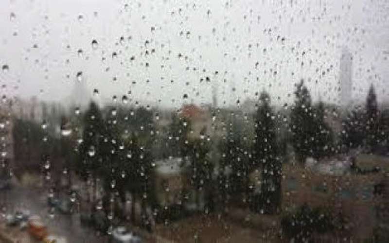 استمرار زخات الأمطار والضباب ليلة الاثنينالثلاثاء