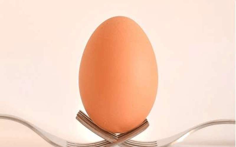 كشف هوية صاحب حساب البيضة الشهيرة