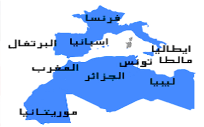 شباب عرب وأوروبيون يسهمون في أجندة