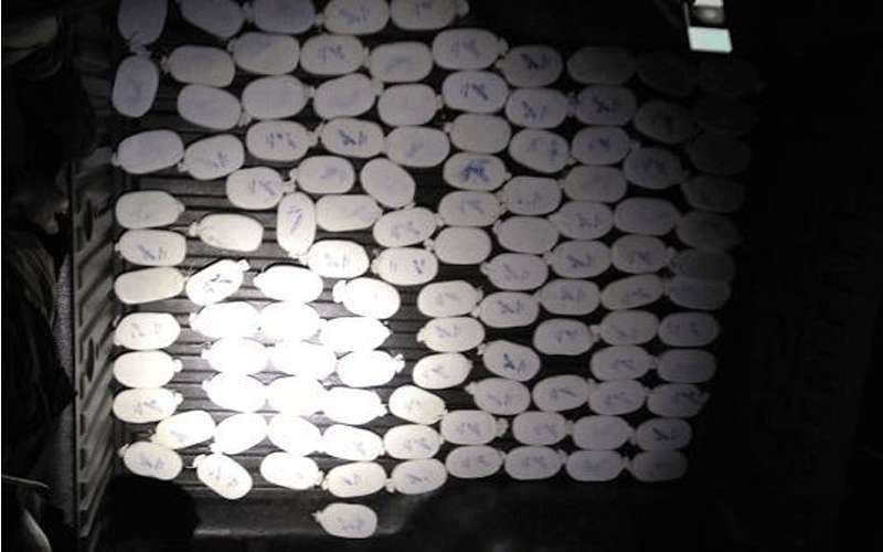 القبض على عدد من مروجي المخدرات