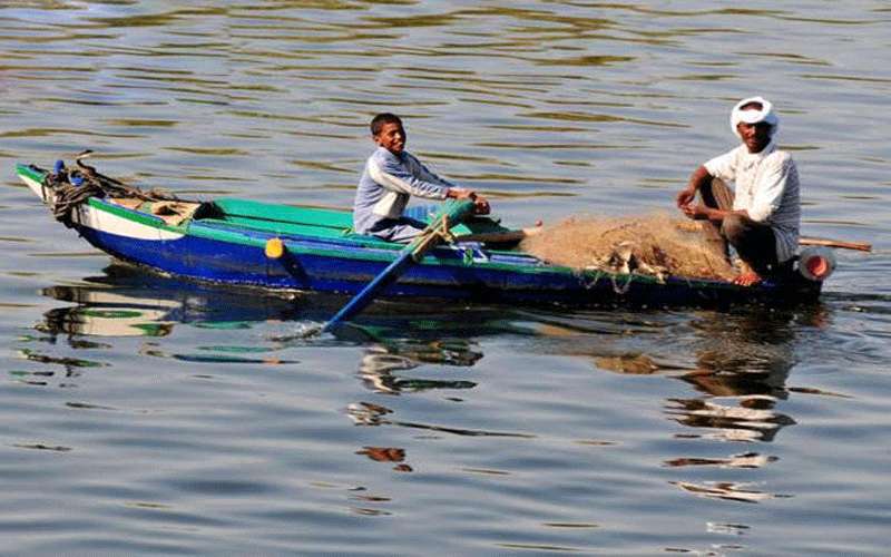 الزراعة تحدد الاسماك المستوردة من مصر