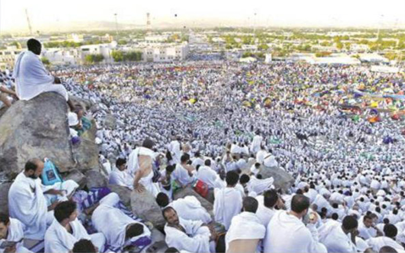 مشروع نظام لشؤون الحج يعتمد معياري