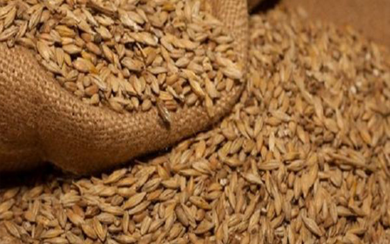 الحكومة تحدد أسعار الأعلاف