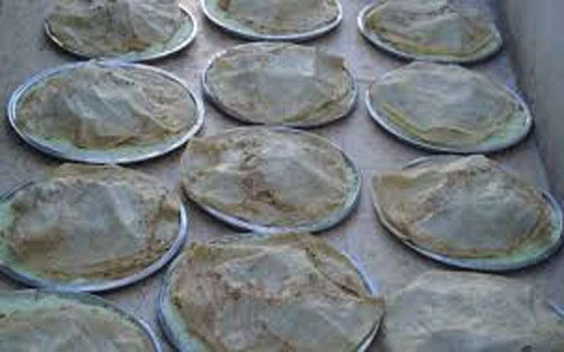 الإفتاء توضح حكم جمع المال للمساعدة