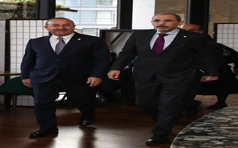 الصفدي يلتقي وزير الخارجية التركي