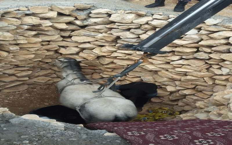 إنقاذ حصان سقط في حفرة بجرف