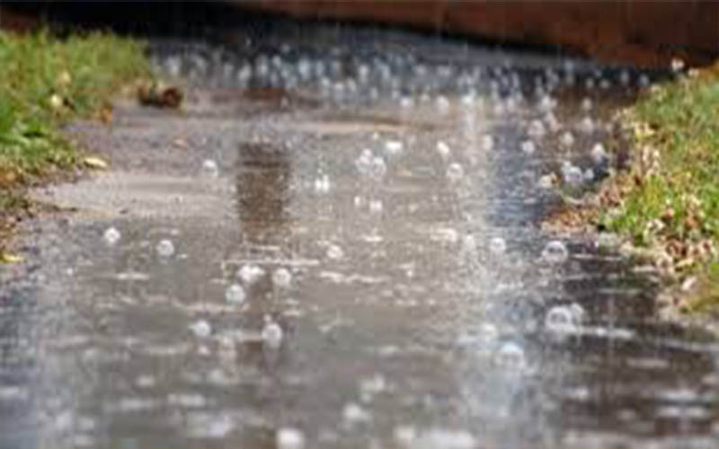 طقس العرب: أجواء باردة وزخات متفرقة