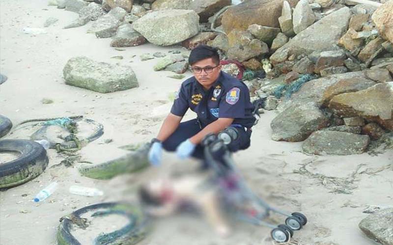 الخارجية: نتابع تفاصيل جريمة قتل الطفل