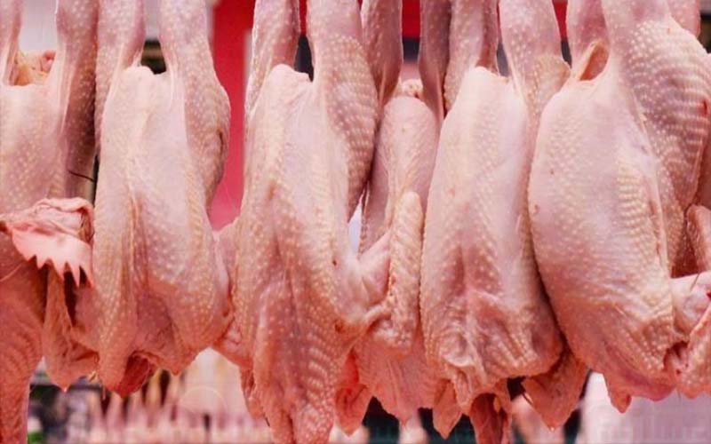 إتلاف 4 أطنان من الدجاج الفاسد