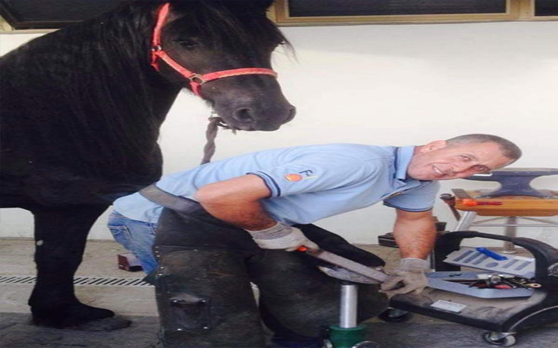 الشهيد الحاج مصطفى .. من سوريا