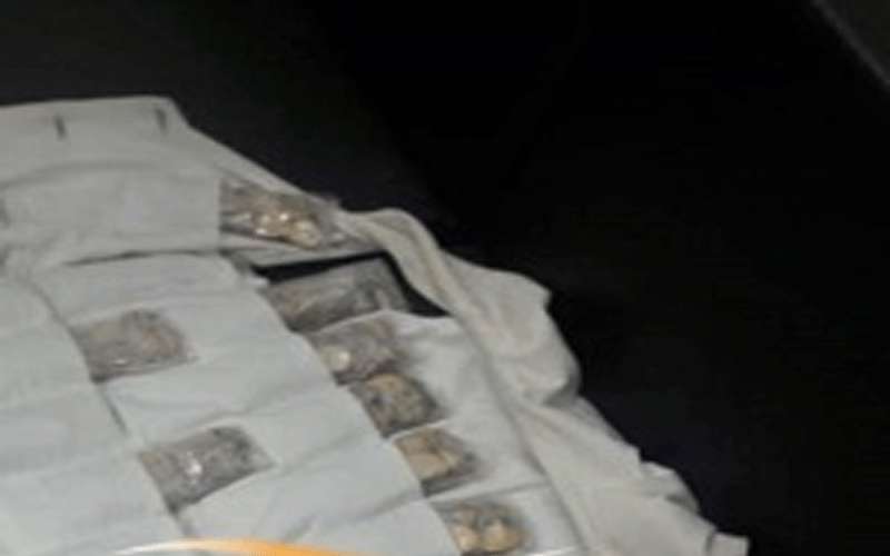 إحباط تهريب 25 كيلو ذهب من