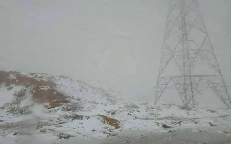 تعليق دوام المدارس في الشوبك والبادية