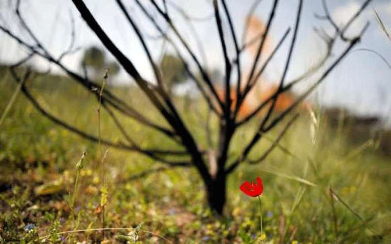 كيف تحسن من مزاجك في 12