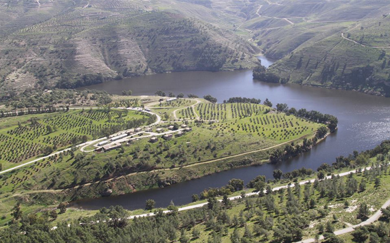 فيضان سد الملك طلال للمرة الرابعة