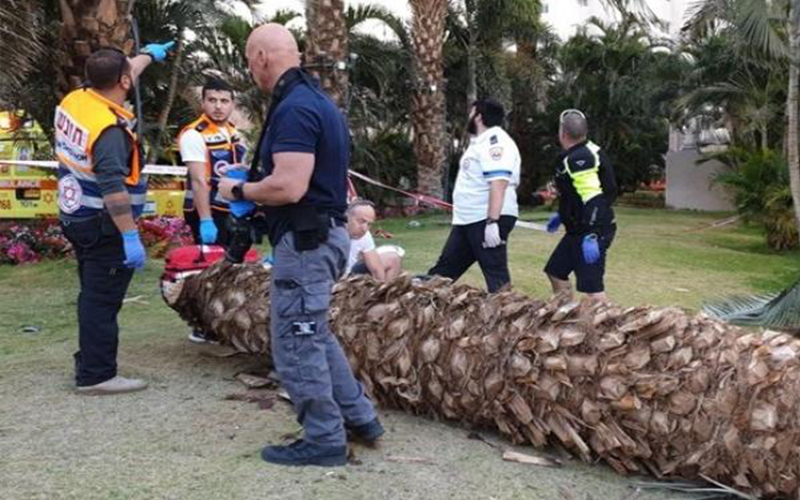 وصول جثامين المتوفين في إيلات والمصابين