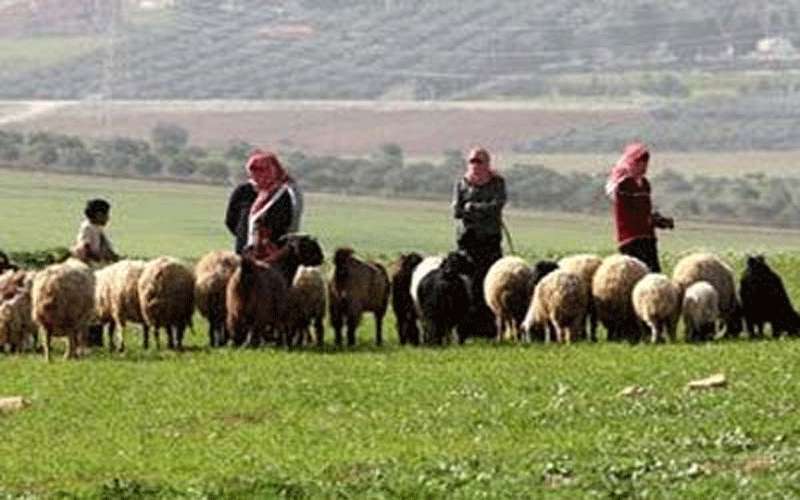 العوران يوجه نداء استغاثة للحكومة بعد