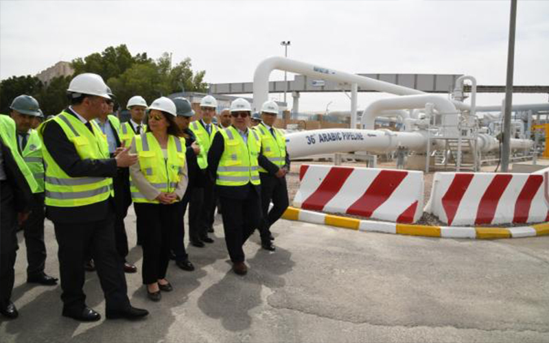 الأردن ومصر يبحثان المشروعات المشتركة لتنويع