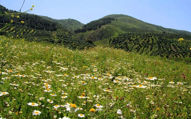 السبت .. ارتفاع على درجات الحرارة
