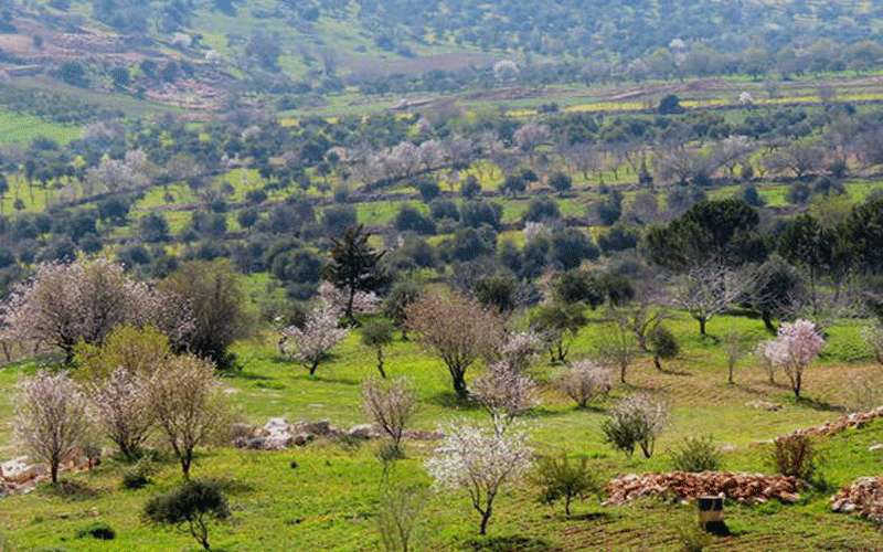 انخفاض واضح على الحرارة حتى الخميس