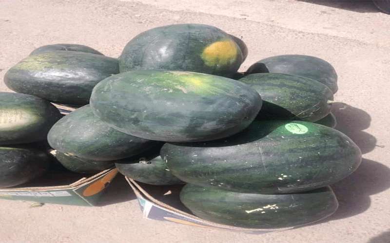 الامانة : إستمرار استقبال الطلبات الكترونيا