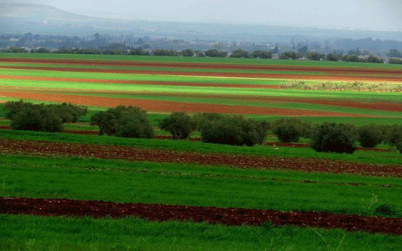 انخفاض آخر على درجات الحرارة اليوم..