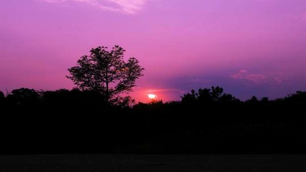 القمر الوردي يطل اليوم على الأرض
