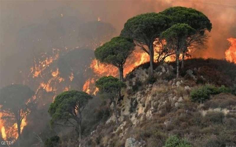 حفلة شواء تكلف إيطاليين 27 مليون