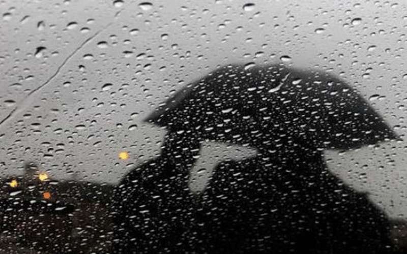 الهطول في إربد تجاوز المعدل