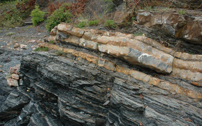 طاقة الأعيان تتفقد مشروع شركة العطارات