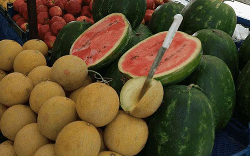 إعفاء بذور الشمام والبطيخ من الضريبة