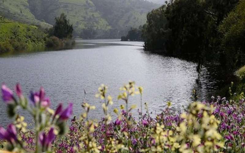 تعويض للمزارع المتضررة من سد الملك