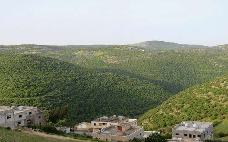 الأحد .. طقس ربيعي دافئ