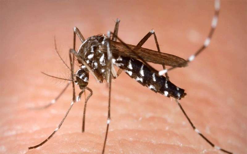 الأمانة تحذر سكان العاصمة عمان من