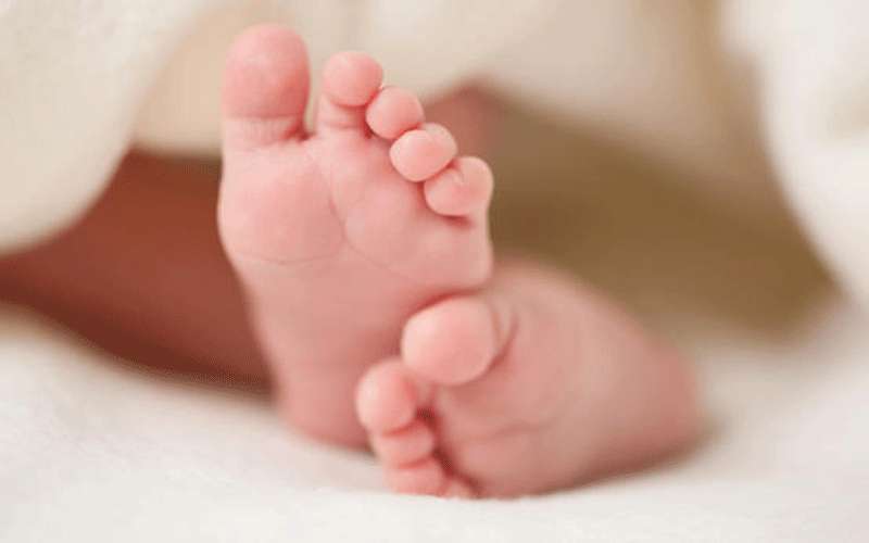 العثور على رضيعة بالشونة