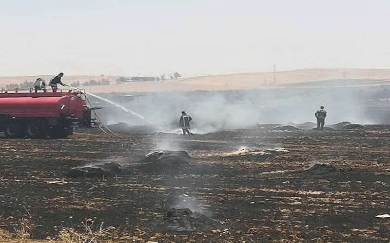 حريق يلتهم 100 دونم من شعير
