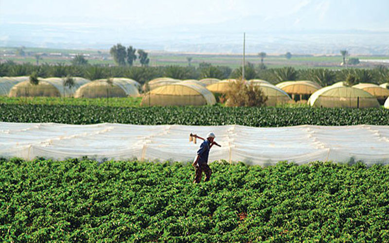 دعوة لتأسيس غرفة زراعة بالأردن