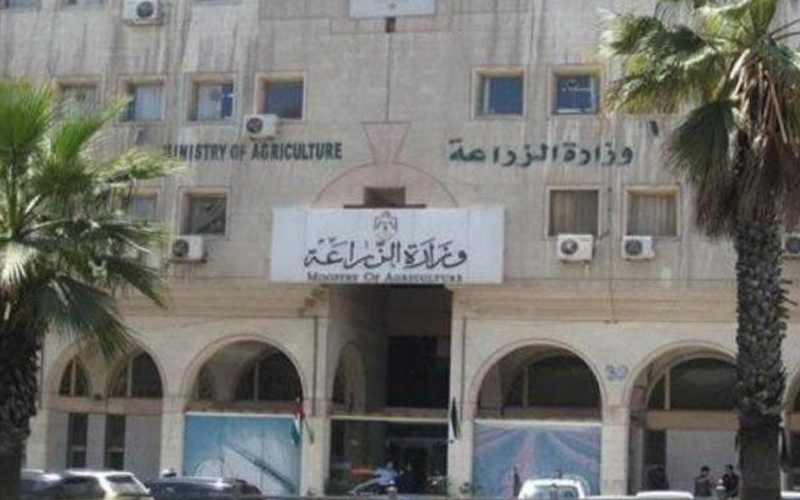 الزراعة تنفي تفويض أراض للحراج لأشخاص