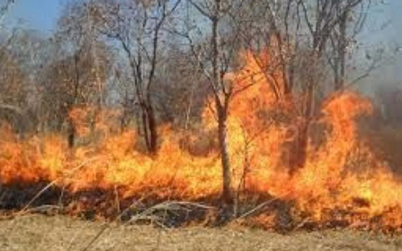 الدفاع المدني يخمد حريقي أعشاب ومحاصيل