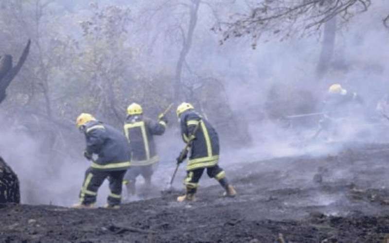 ترجيح افتعال حريق غابة بعجلون